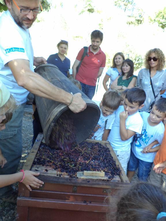 Fattoria Di Castiglionchio Villa Rosano  Dış mekan fotoğraf