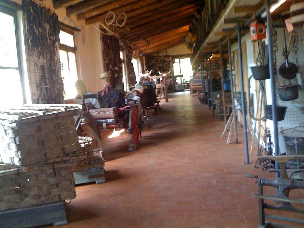 Fattoria Di Castiglionchio Villa Rosano  Dış mekan fotoğraf